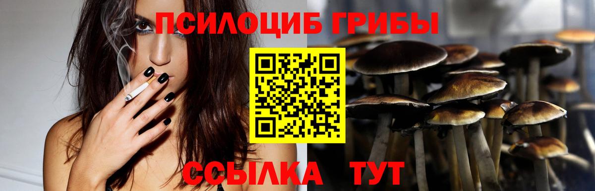 Алатырь  Галлюциногенные грибы Cubensis  Вход с VPN 